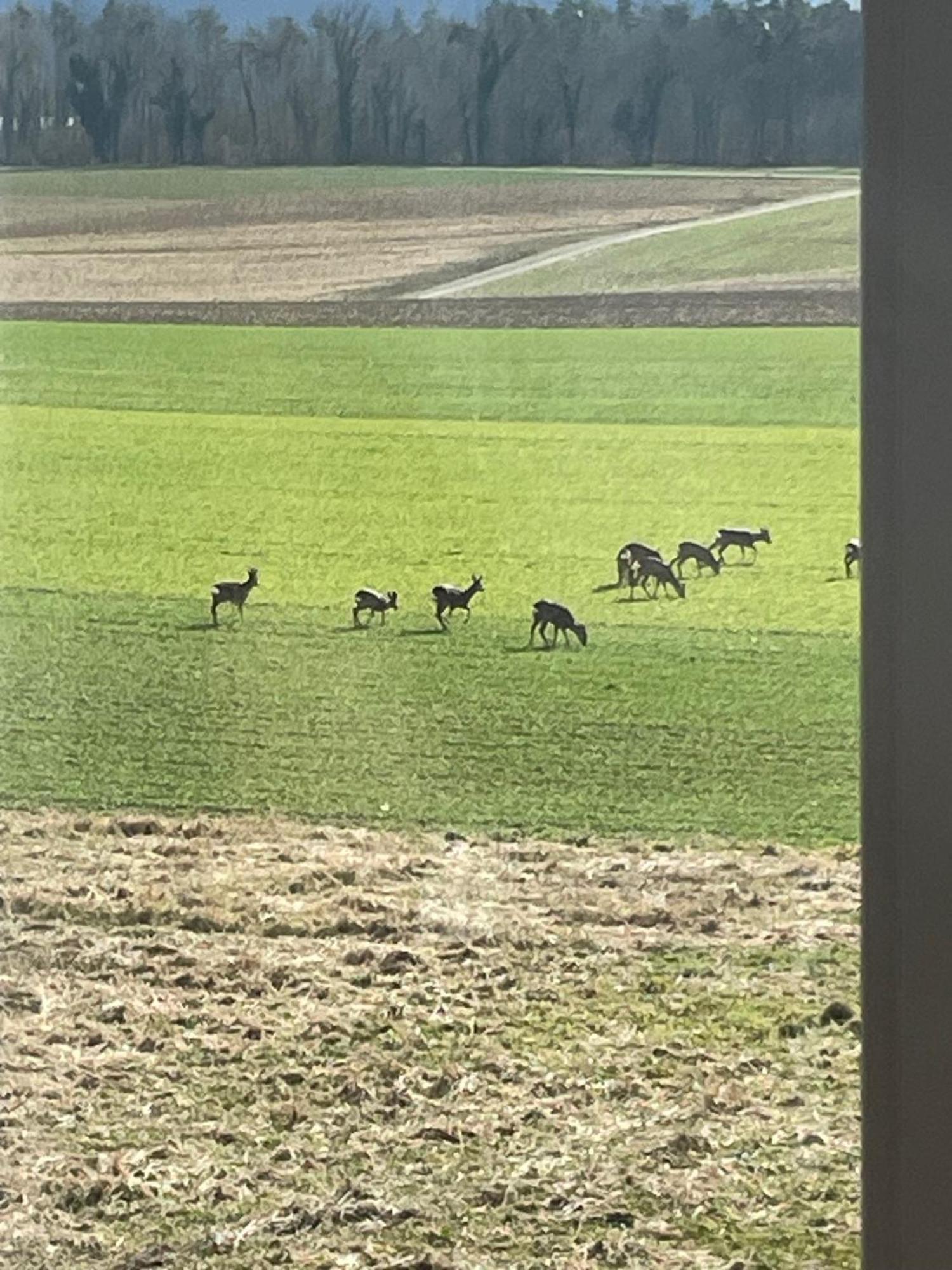 Schoene Unterkunft Naehe Schweiz Gottmadingen Exterior photo